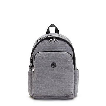 Mochilas Kipling Delia Classic Plateados | MX 1555EB